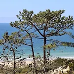 Aroeira Palm Beach
