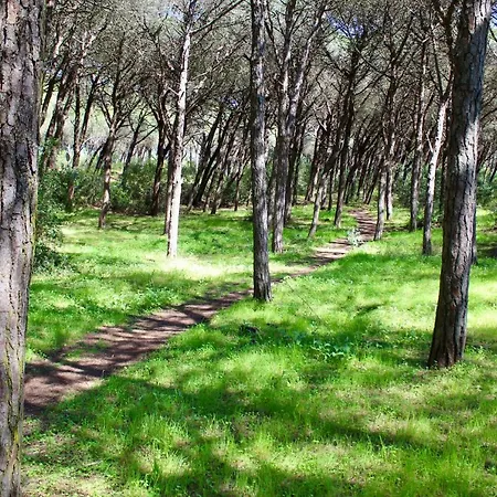 Aroeira Palm Beach Вилла