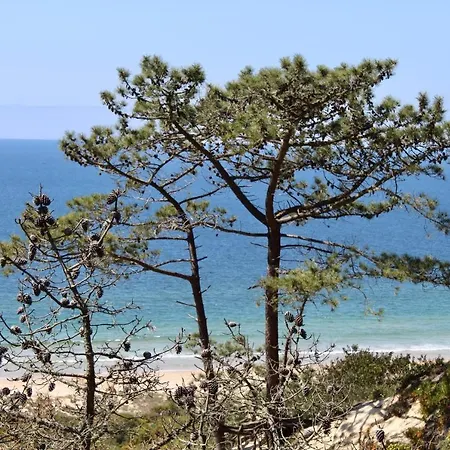 Aroeira Palm Beach