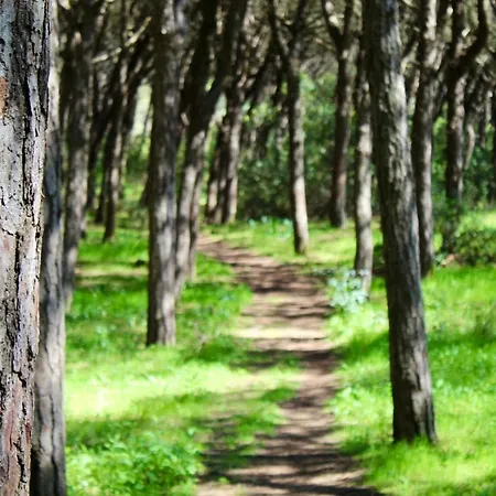 Aroeira Palm Beach * Aroeira (Setubal)