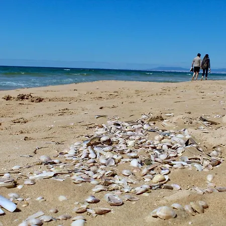 וילה Aroeira Palm Beach Aroeira (Setubal)