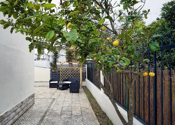 Villa Aroeira Palm Beach