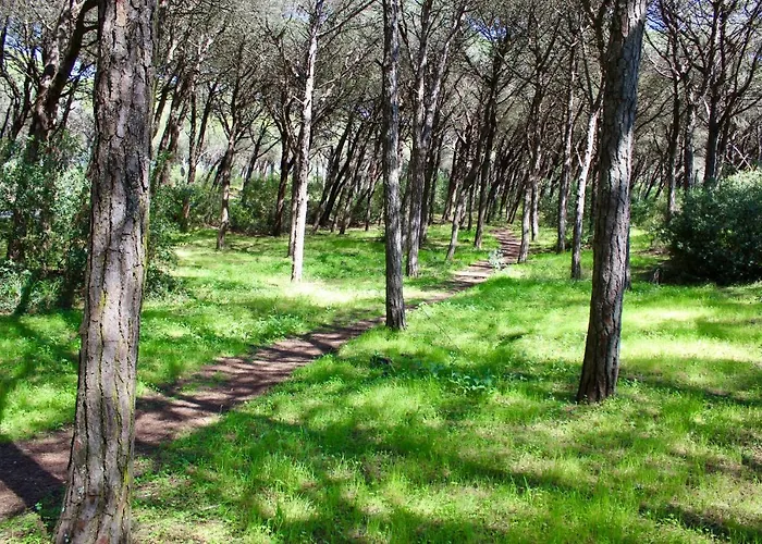 Aroeira Palm Beach Villa