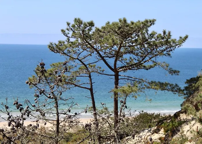 Aroeira Palm Beach