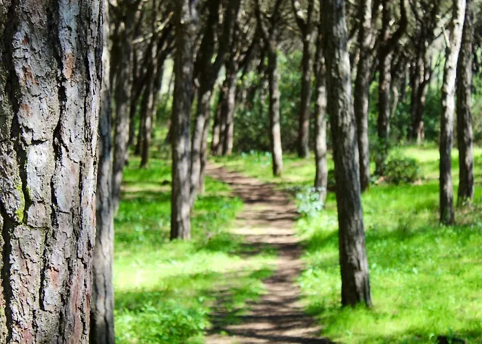 Aroeira Palm Beach * Aroeira (Setubal)